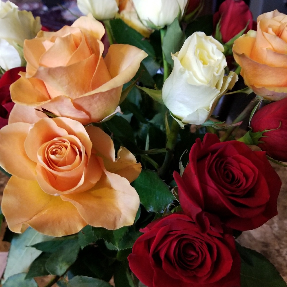 Meet your Posher, Zvezdana